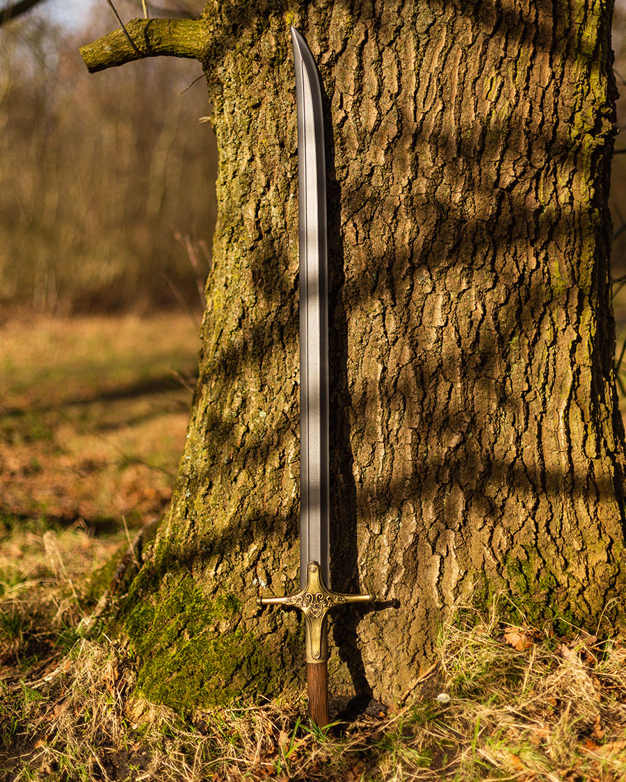 Iris - Olgierd of Everec´s Steel Sword