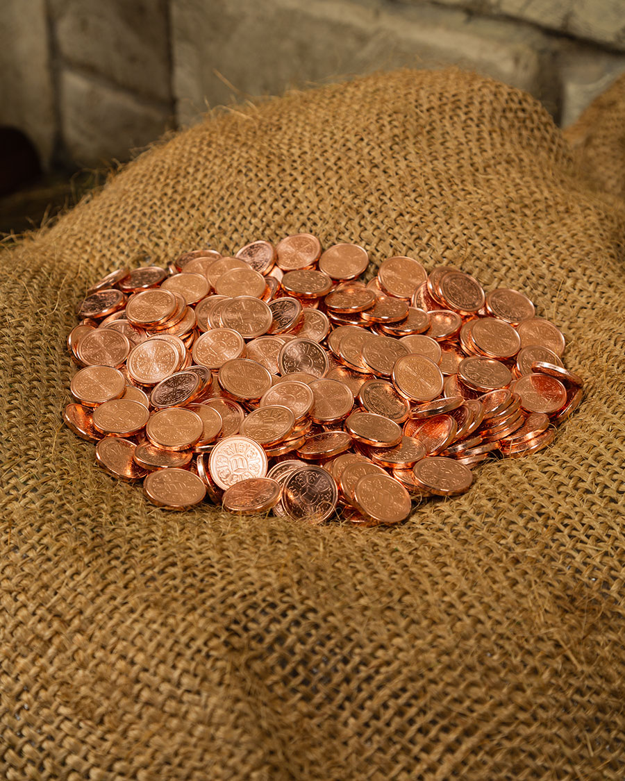 Larp coin copper set of 500